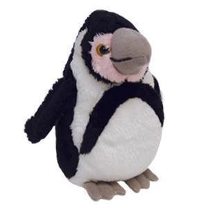 DZC Small Humboldts Penguin